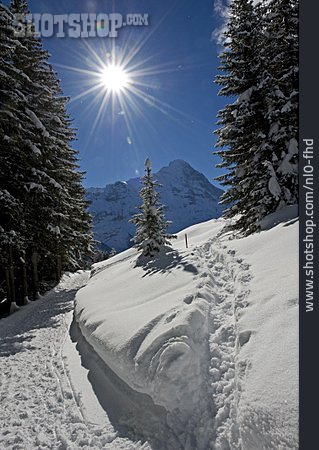 
                Winter, Winterlandschaft, Berner Oberland, Wintersonne                   