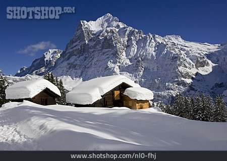 
                Winter, Berner Oberland, Wetterhorn, Berner Alpen                   