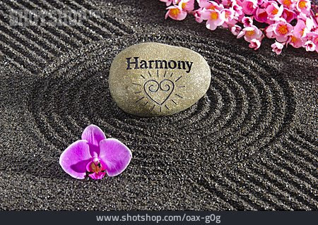 
                Harmonie, Zen                   