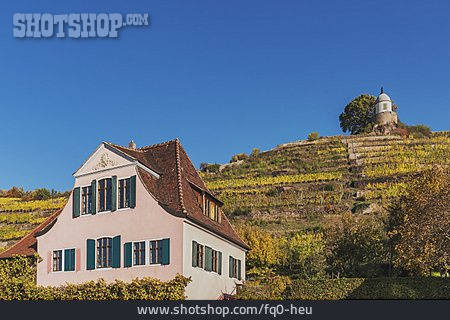 
                Weingut, Radebeul, Weinbaugebiet, Haus Fliegenwedel                   