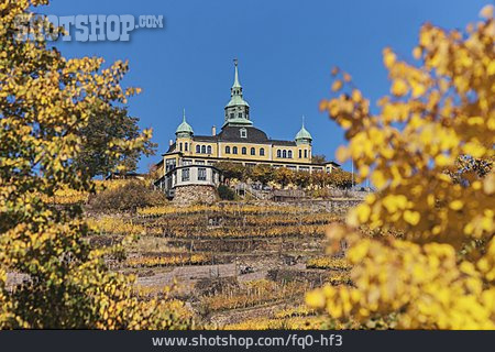 
                Weingut, Spitzhaus                   