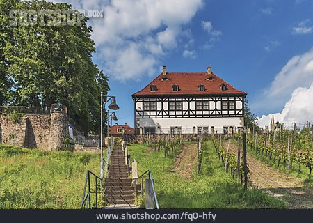 
                Weingut, Hoflößnitz                   