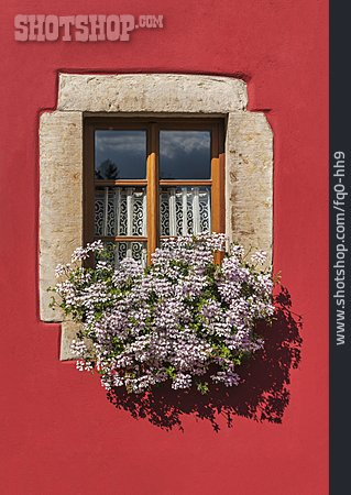 
                Fenster, Blumenfenster                   