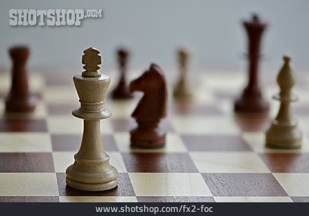 
                Schach, Schachspiel, Schachmatt                   