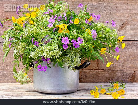 
                Blumenstrauß, Blumenvase, Wiesenblume                   