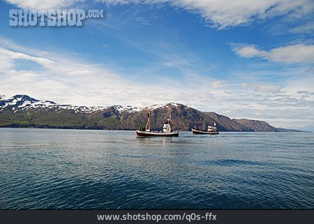 
                Schiff, Island, Fjord, Atlantik                   