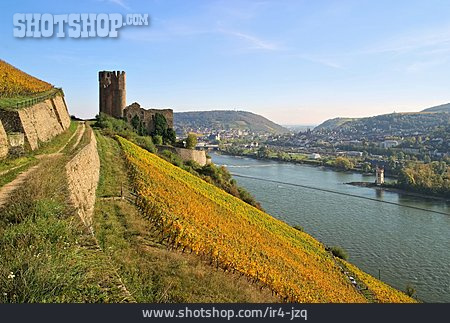 
                Rhein, Burg Ehrenfels                   