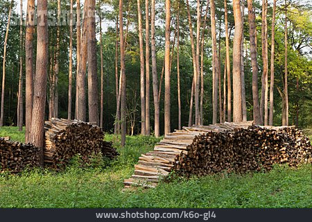 
                Holz, Holzstapel, Forstwirtschaft                   