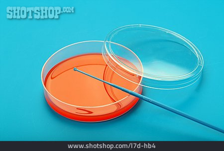 
                Labor, Petrischale, Bakteriologie                   