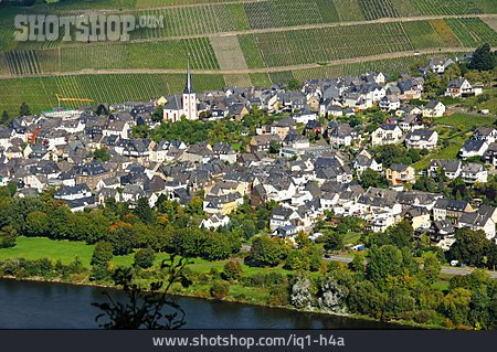 
                Moseltal, Mosel, Enkirch                   