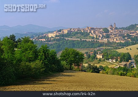 
                Urbino                   