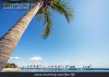 
                Strand, Urlaub, Miami Beach                   
