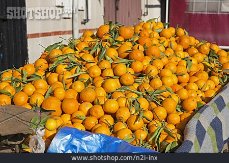 
                Orange, Orangenernte                   