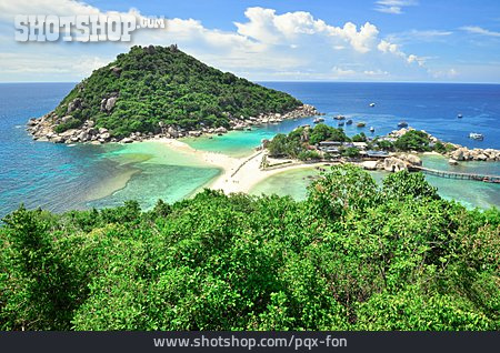 
                Tropisch, Insel, Thailand, Ko Tao                   