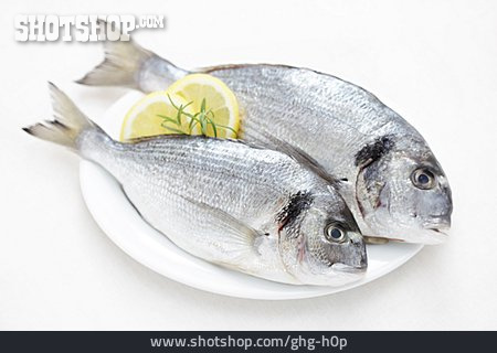 
                Fisch, Speisefisch, Dorade                   