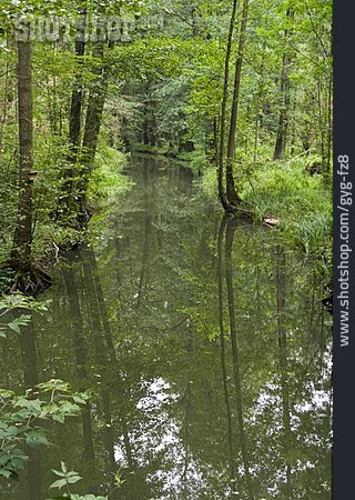 
                Wald, Kanal, Spreewald                   
