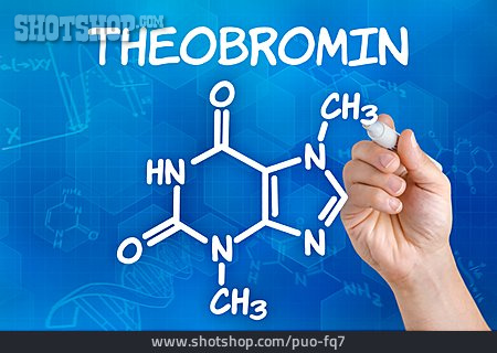
                Strukturformel, Theobromin                   