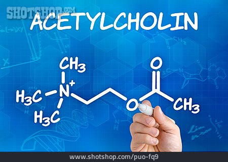 
                Strukturformel, Neurotransmitter, Acetylcholin                   