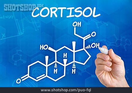 
                Hormon, Strukturformel, Cortisol                   