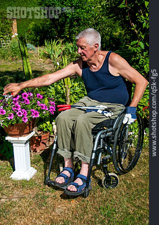 
                Senior, Gartenarbeit, Rollstuhlfahrer                   