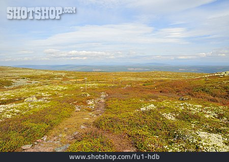 
                Tundra, Nationalpark Fulufjället                   