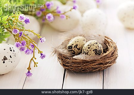 
                Ostern, Nest, Wachtelei, Osterdekoration                   