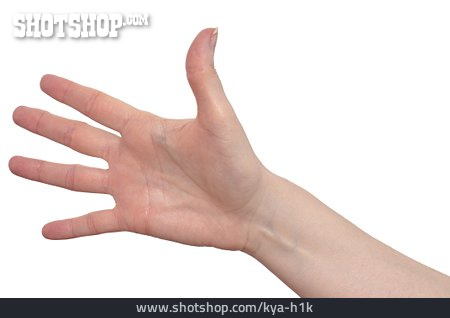 
                Hand, Handfläche                   