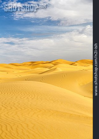 
                Wüste, Düne                   