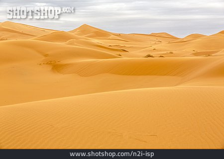 
                Wüste, Sahara, Erg Chebbi                   