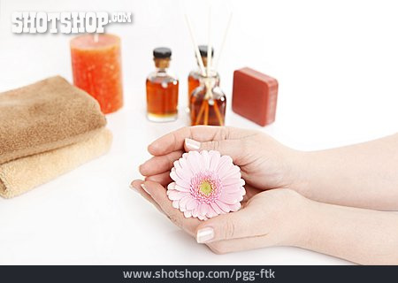
                Beauty & Kosmetik, Handpflege                   