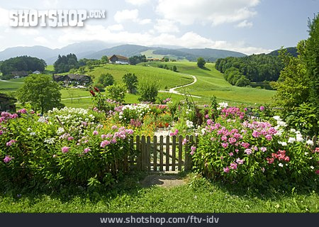 
                Garten, Idylle, Oberbayern, Berchtesgadener Land                   