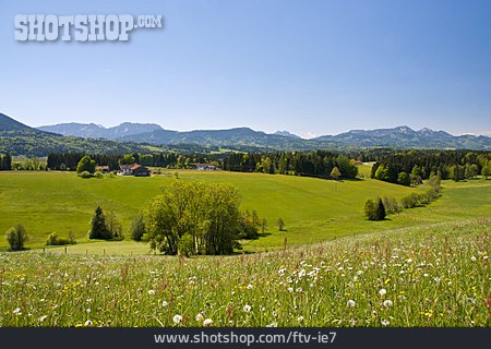 
                Chiemgau, Berchtesgadener Land, Neukirchen                   