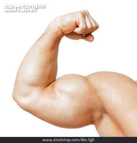 
                Stärke, Bizeps, Muskel, Bodybuilding                   
