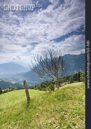 
                Südtirol, Alto Adige                   