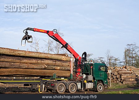 
                Forstwirtschaft, Holzstamm, Lastkraftwagen                   