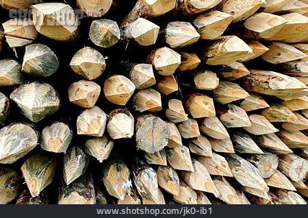 
                Holz, Holzpfahl, Angespitzt                   