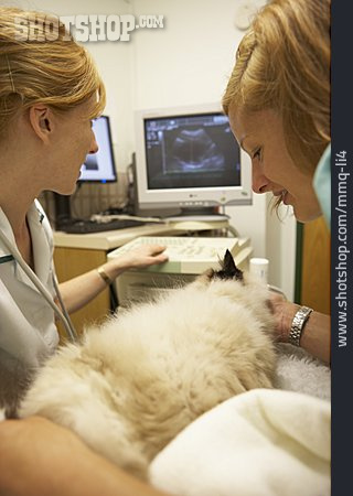 
                Ultraschall, Tiermedizin, Tierärztin                   