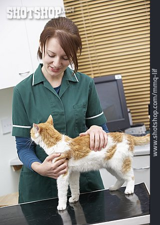 
                Katze, Tierärztin, Tierpflegerin                   
