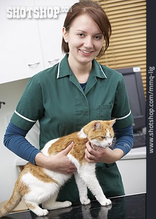 
                Katze, Tierärztin, Tierpflegerin                   