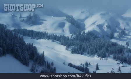 
                Winter, Winterlandschaft, Schneelandschaft                   