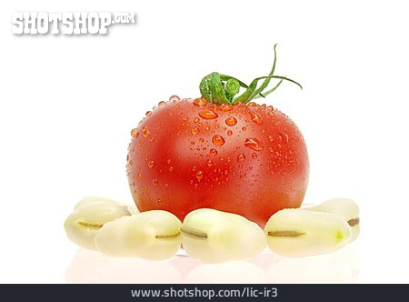 
                Tomate, Bohne, Dicke Bohne                   