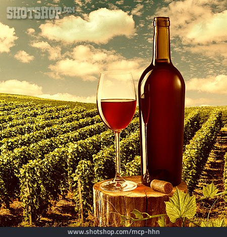 
                Wein, Rotwein, Weinbau, Weinberg                   