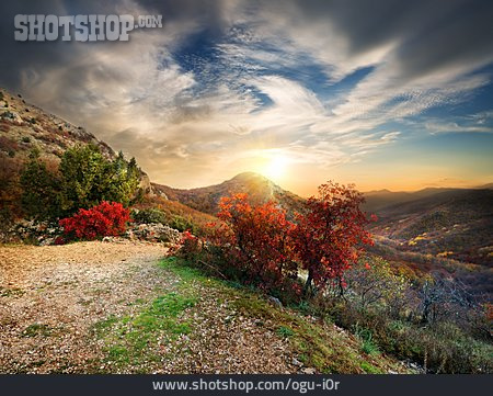 
                Gebirge, Herbstlandschaft, Laubfärbung                   