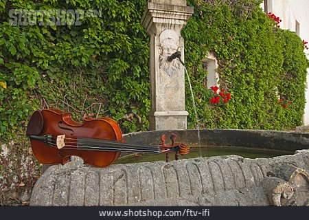 
                Geige, Brunnen                   
