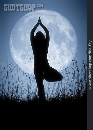 
                Mond, Meditation, Yoga, Vital                   