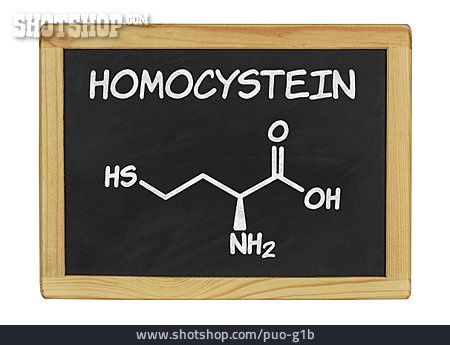 
                Homocystein                   