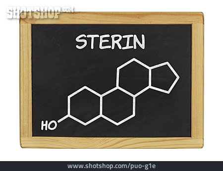 
                Sterin                   