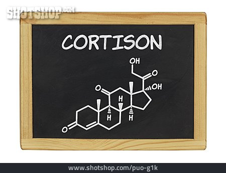 
                Cortison                   