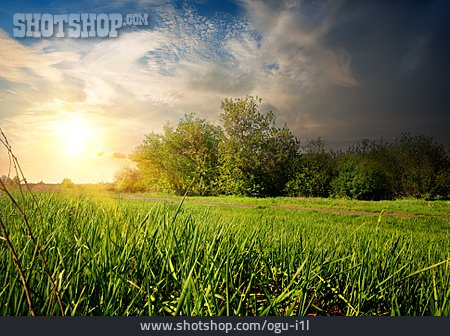 
                Landschaft, Sonnenlicht, Gras, Sonnenstrahlen                   