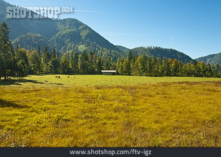 
                Feld, Chiemgau                   